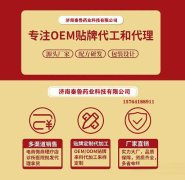 集团OEM/ODM解决方案，助力客户缩短生产周期