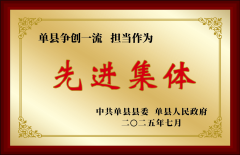 集团荣获“先进集体”称号！